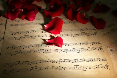 Müzik levhalar, closeup üzerinde güzel gül yaprakları