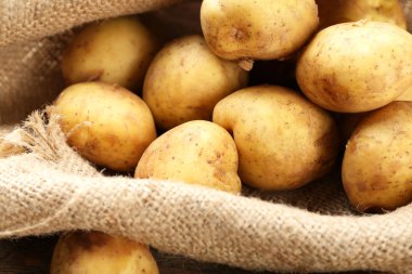 Genç patateslerin üzerine çul yakın çekim