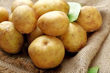 Genç patateslerin üzerine çul yakın çekim