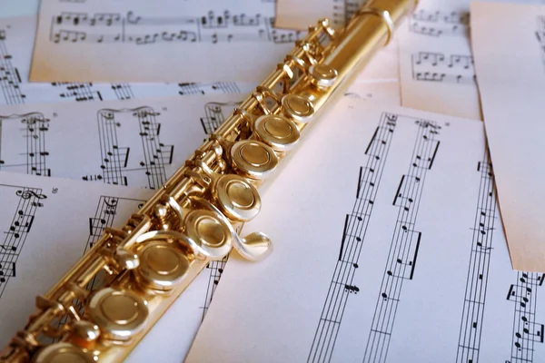 Flute on music notes background — Stock Photo, Image