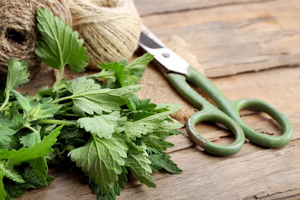 Leaves of lemon balm with rope and scissors on wooden table, closeup — Stock Photo, Image