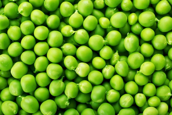 Tas de pois verts frais de près — Photo