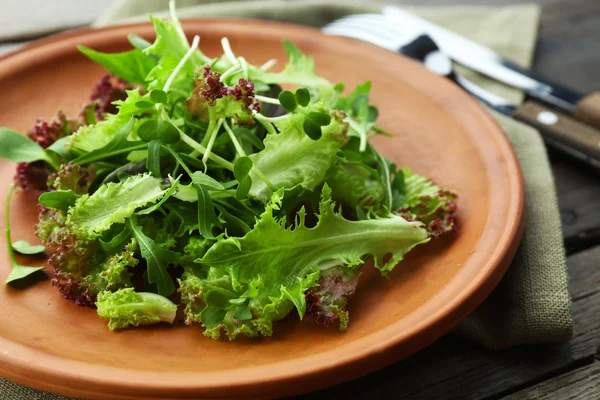 Ahşap masa üzerinde taze karışık yeşil salata tabak kapat — Stok fotoğraf