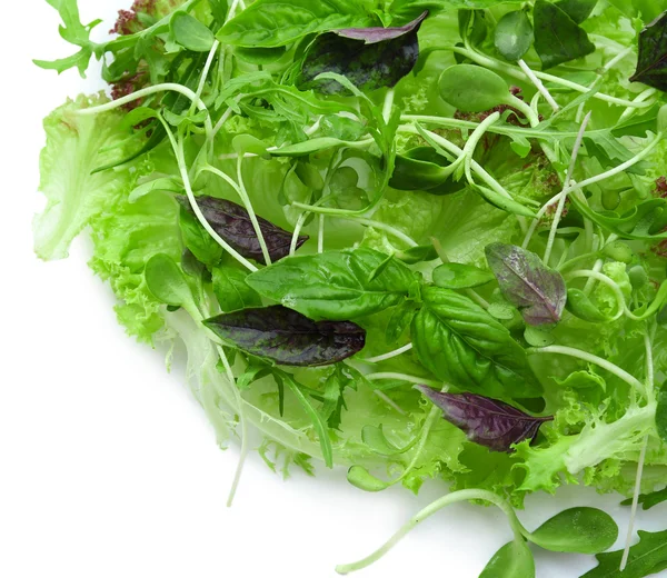 Fresh mixed green salad isolated on white — Stock Photo, Image