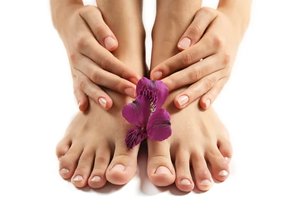 Vrouwelijke voeten bij spa pedicure procedure met bloem geïsoleerd op wit — Stockfoto