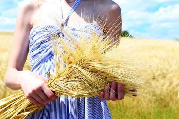 Snop hospodářství žena v poli — Stock fotografie