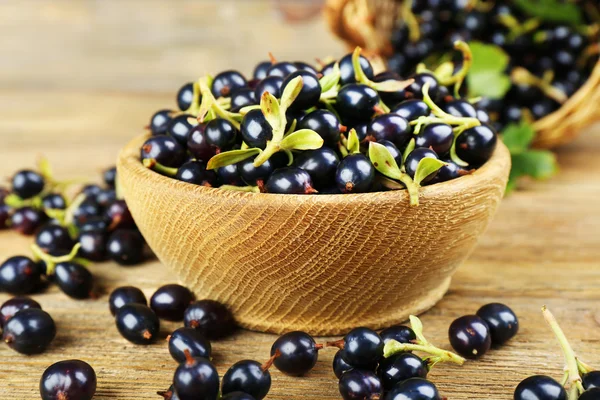 Fresh black currants — Stock Photo, Image