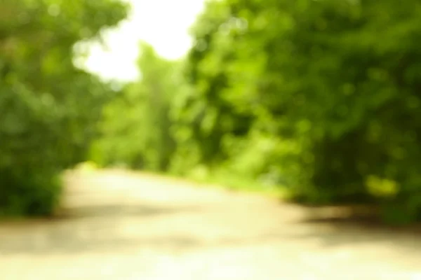 Blurred natural background — Stock Photo, Image