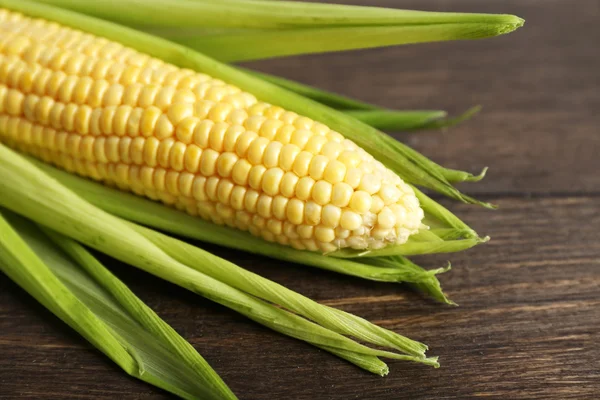 Fresh corn on cob — Stock Photo, Image