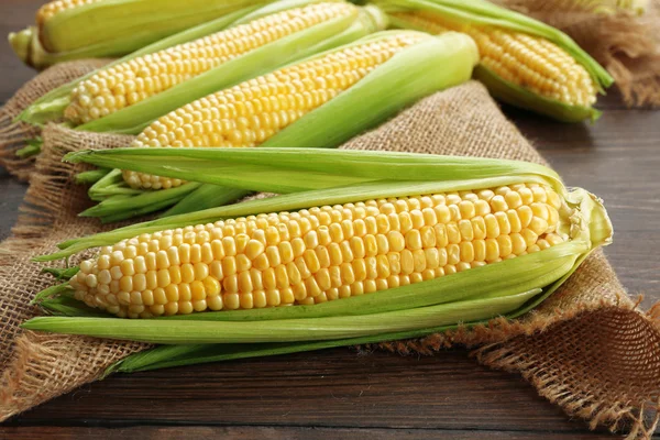 Fresh corn on cob — Stock Photo, Image