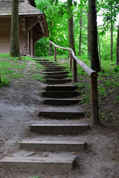 Zelený park alej — Stock fotografie