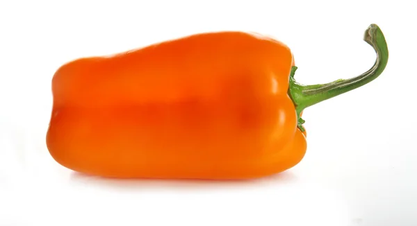 Orange pepper isolated on white — Stock Photo, Image