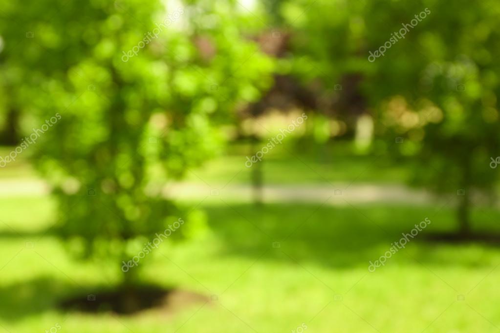 Blurred natural background Stock Photo by ©belchonock 80072200