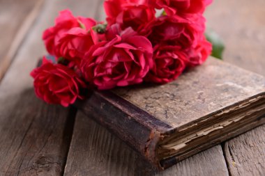 Güzel güller ile eski kitap