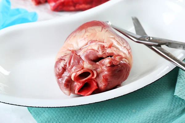 Organo cardiaco in vassoio metallico medico con strumenti sul tavolo da vicino — Foto Stock