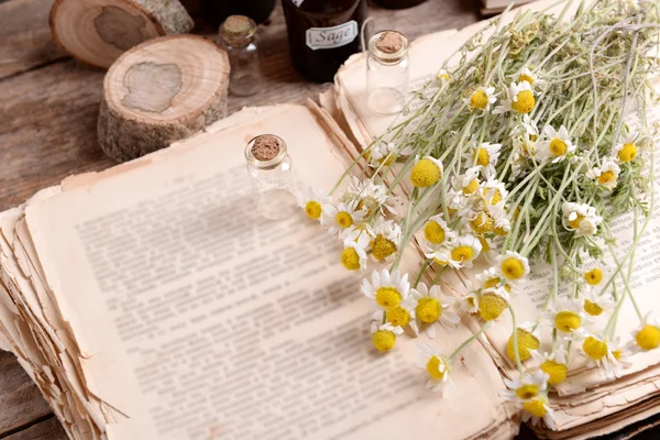 Livro velho com flores secas — Fotografia de Stock