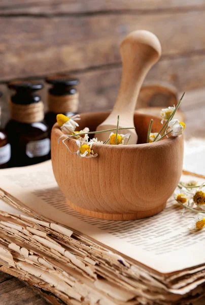 Old book with dry flowers — Stock Photo, Image