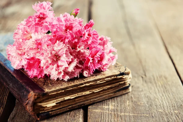 Altes Buch mit schönen Rosen — Stockfoto