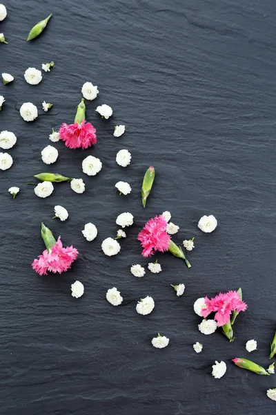 Мелкие дикие цветы — стоковое фото