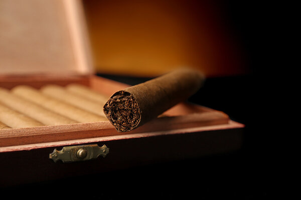 Cigars in box on table, closeup