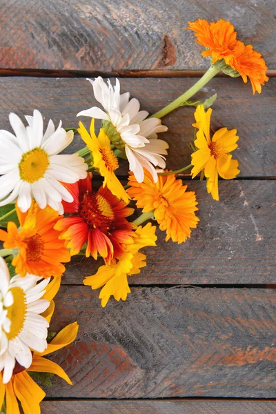 Fiori di campo lucenti su sfondo di legno — Foto Stock