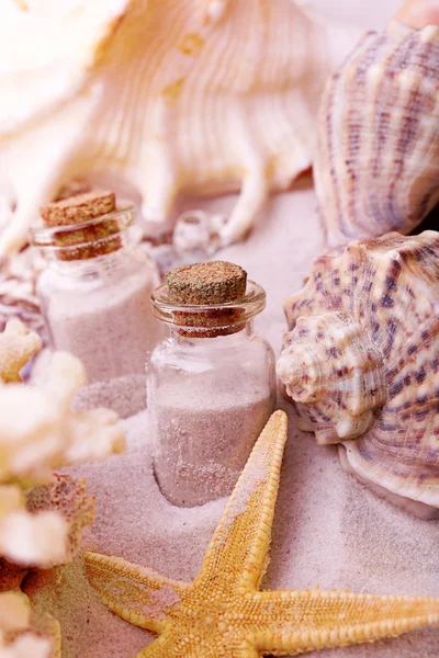 Beautiful seashells on sand background — Stock Photo, Image