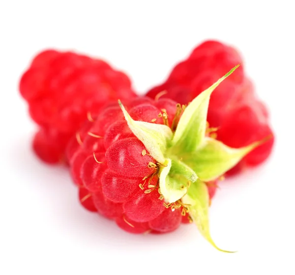 Frambuesas rojas maduras aisladas en blanco —  Fotos de Stock