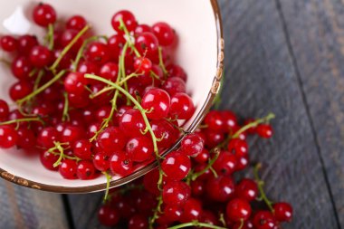 Ahşap masa üzerinde kase taze kırmızı kuş üzümü yakın çekim