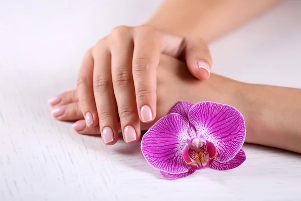 Woman hands with french manicure and orchid flowers — Stock Photo, Image