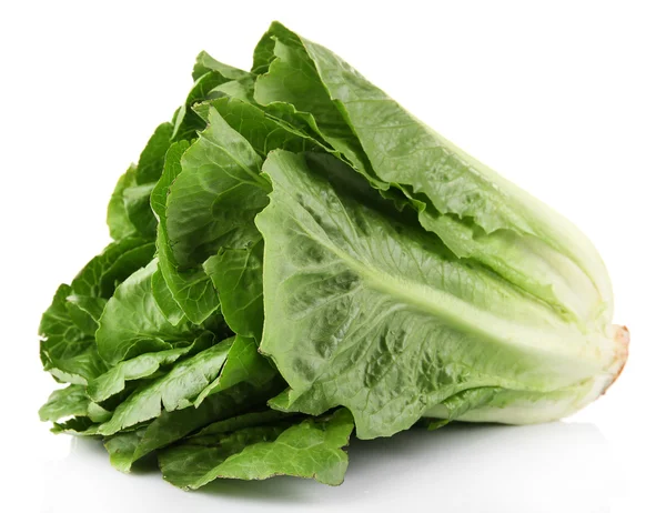 Lettuce isolated on white — Stock Photo, Image