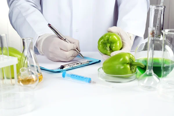 Scientist examines salad pepper in laboratory — Stock Photo, Image