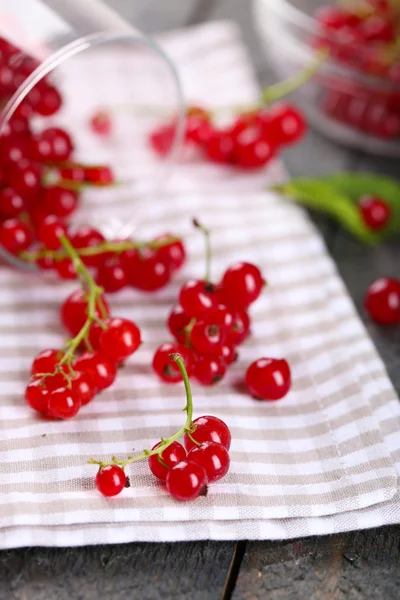 Frische rote Johannisbeeren auf dem Tisch aus nächster Nähe — Stockfoto