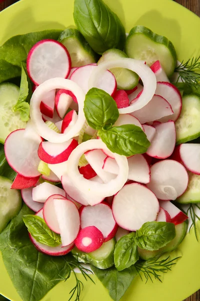 Färska grönsaker sallad på plattan på nära håll — Stockfoto