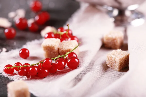 Ripe red currants with lamp sugar — Stock Photo, Image