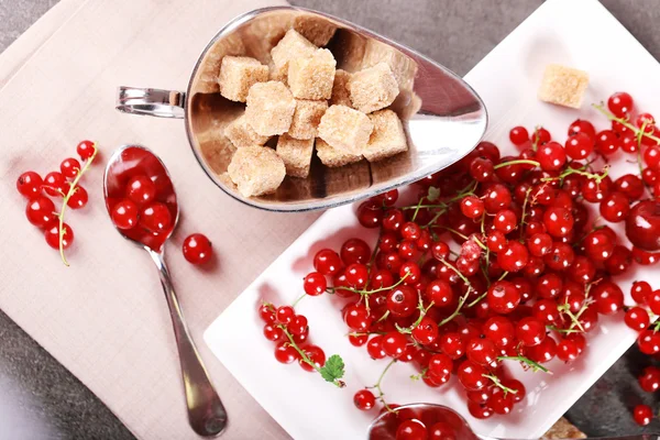 Ripe red currants with lamp sugar — Stock Photo, Image