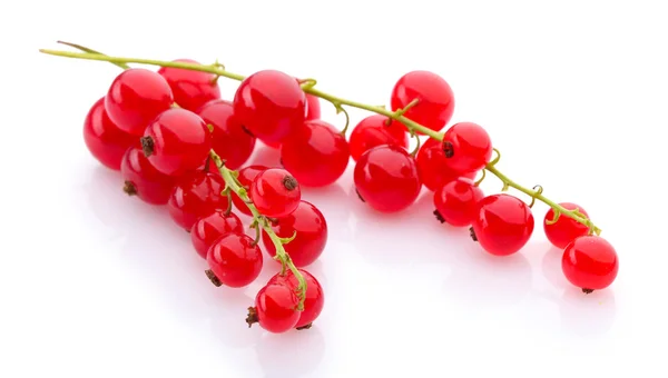 Beyaz üzümlü kırmızı üzümler — Stok fotoğraf