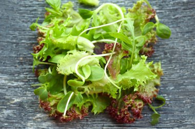 Taze karışık yeşil salata