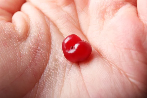 Cranberry vermelho na palma humana, close-up — Fotografia de Stock