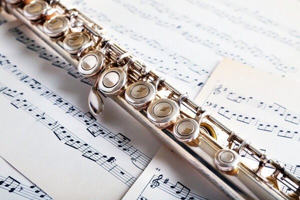 Флейта на нотах
