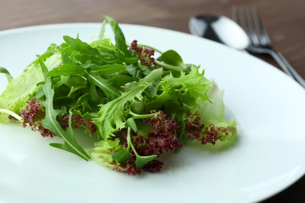 Frischer gemischter grüner Salat — Stockfoto