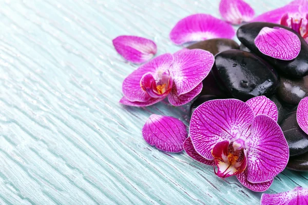 Violet orchid and zen stones — Stock Photo, Image
