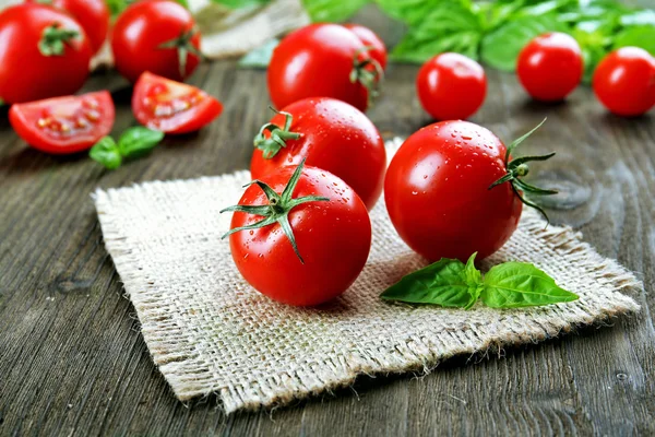 Fresh tomatoes with basil — Stock Photo, Image