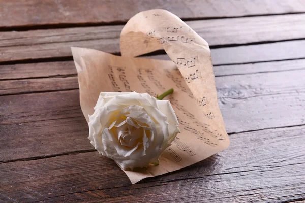 Krásná růže na noty — Stock fotografie