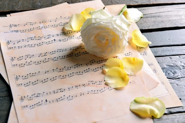 Hermosa rosa en hojas de música — Foto de Stock