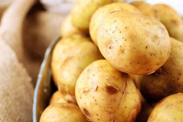 Jonge aardappelen in manden — Stockfoto