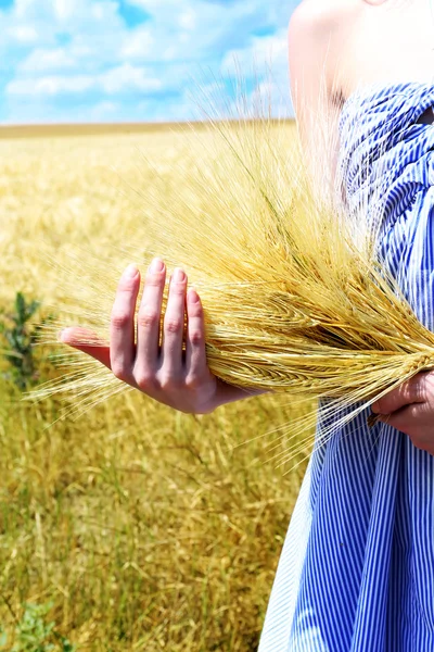 Woman holding sheaf — Stock Photo, Image