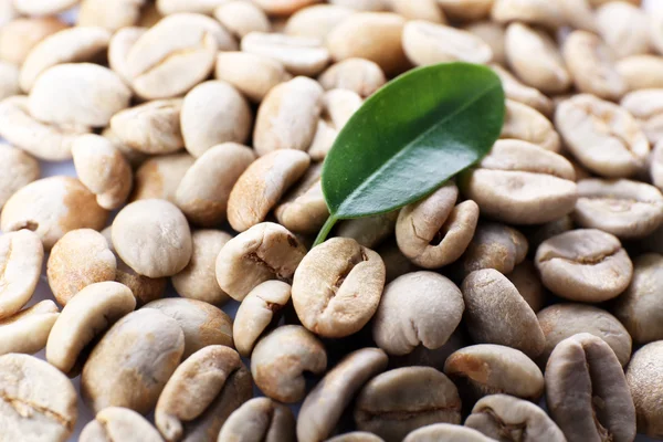 Heap de grãos de café verde com folha de perto — Fotografia de Stock