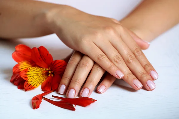 Mãos com manicure francês e flor — Fotografia de Stock