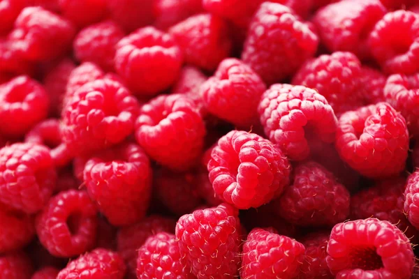 Heap of sweet red raspberries close up — Stock Photo, Image