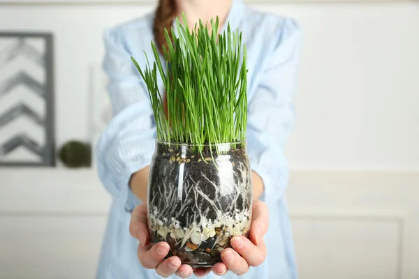 Mulher segurando pote com grama verde — Fotografia de Stock